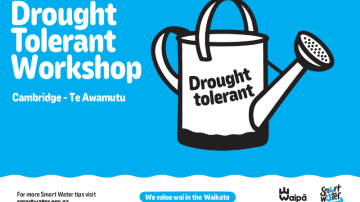 Drought tolerant workshop 1