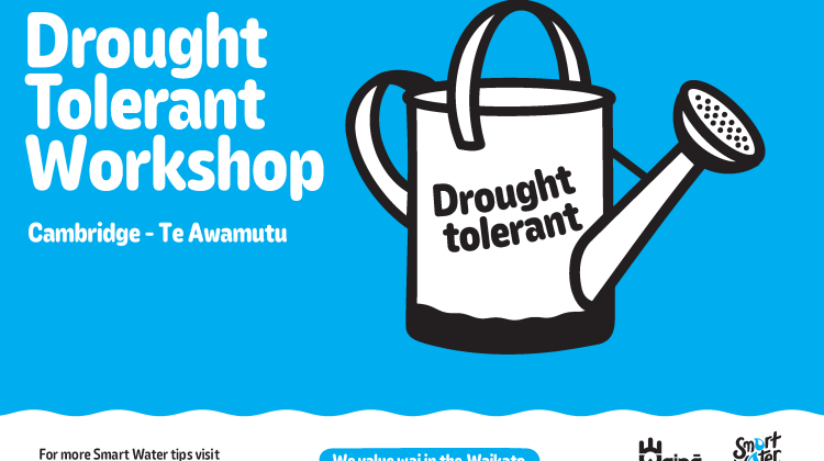 drought tolerant workshop